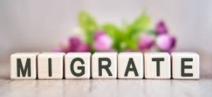 Di Trú - Bảo Lãnh - Thi Quốc Tịch 